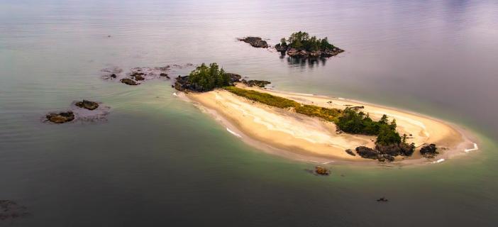 Whale Hunter Island
