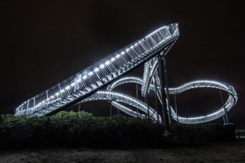 Tiger & Turtle
