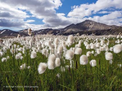 Landmannalaugar