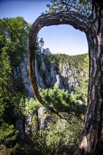 Sächische Schweiz