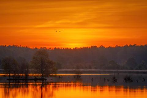 Sonnenaufgang im Moor