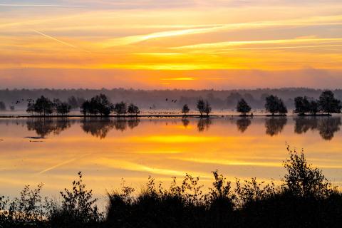 Stille im Moor