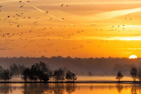 Herbstmorgen im Tister Bauernmoor