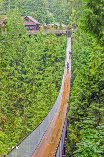 Kapilano Suspension Bridge