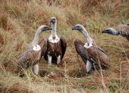Kenia 2007 364