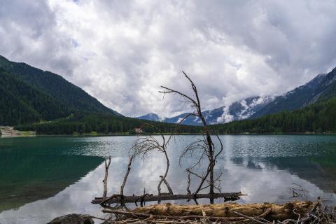 Stille Schönheit: Reflektionen und Ruhe