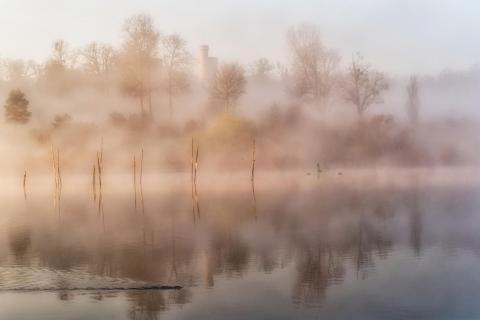 Morgennebel am Glienicker See