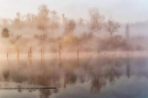 Morgennebel am Glienicker See