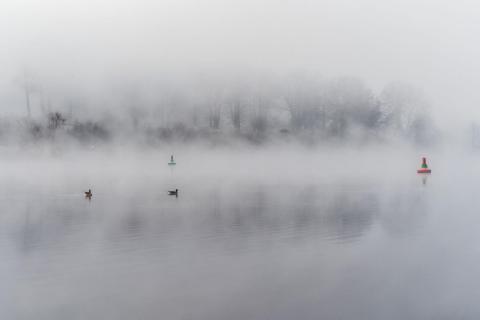 Morgennebel am Glienicker See