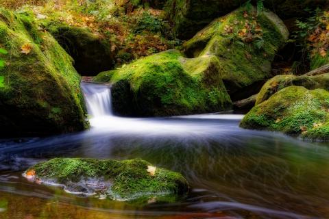 Kleiner Wasserfall im Elbsandsteingebirge