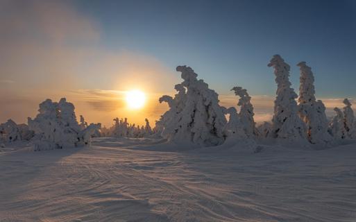 Wintersonne