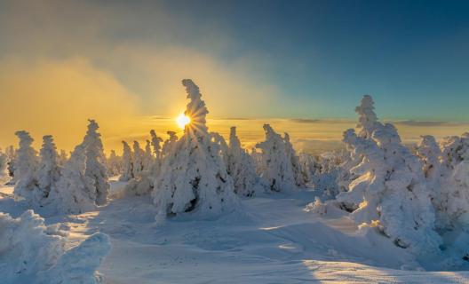 Nationalpark Harz 