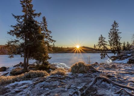 Oderteich im Nationalpark Harz