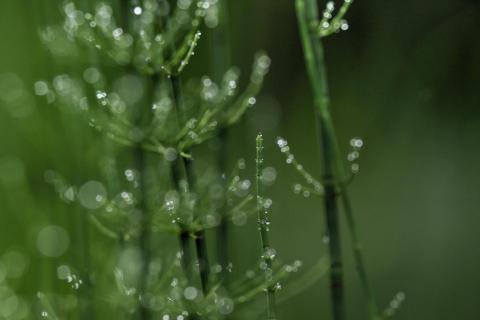 Nach und vor dem Regen 