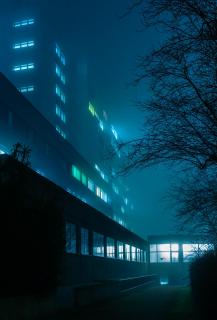 carpe noctem
