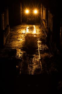 carpe noctem
