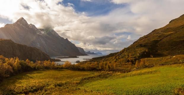 Fjord auf den Lofoten