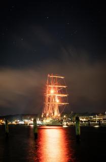 Nachtsegler