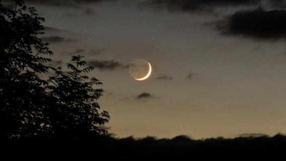 Mond