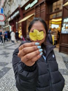 Leaf