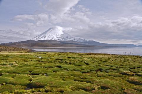 Vulkan Parinacota im Grenzgebiet Bolivien-Chile