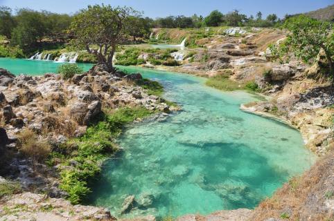 Wadi Darbat - Oman