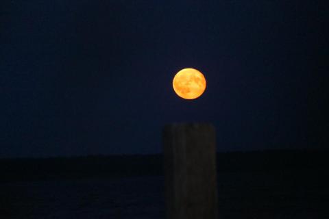 Blutmond