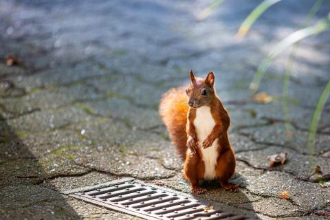 zu Besuch