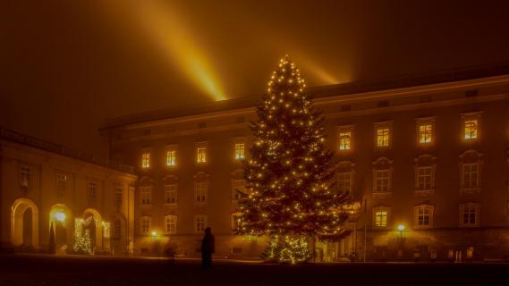 Christbaum