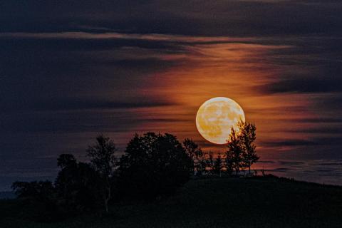 Vollmond geht auf