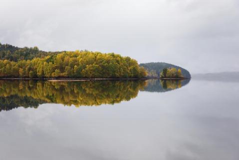 Spiegelung