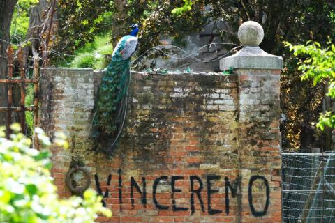 Vinceremo