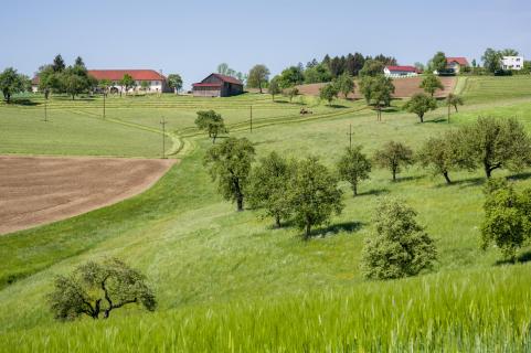 Großamberg