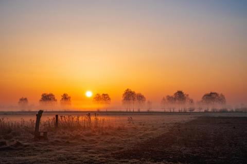 Morgennebel zum Sonnenaufgang