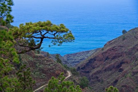 La Palma
