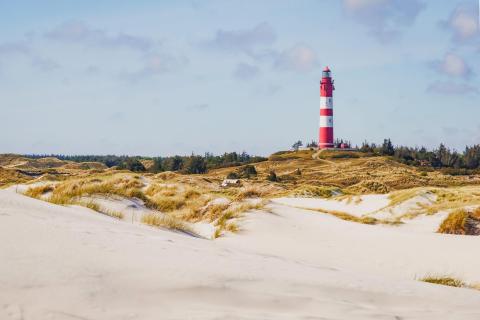 Vitamin Sea