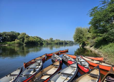 Donau