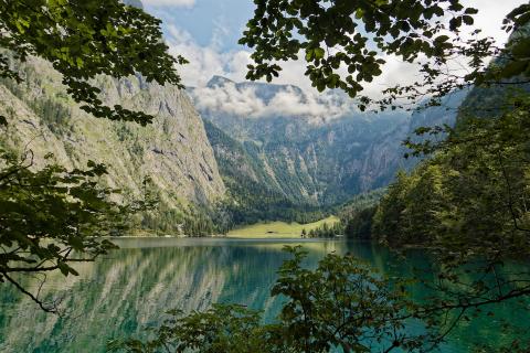 Obersee 