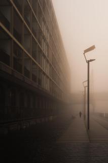 Foggy Day II
