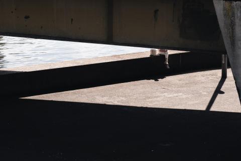 Relaxing in the sun