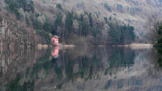 Reflections