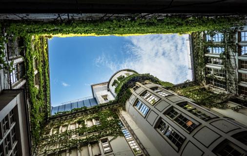Look Up!