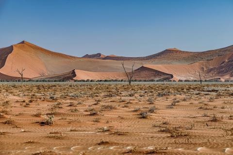Through the Sands of Time