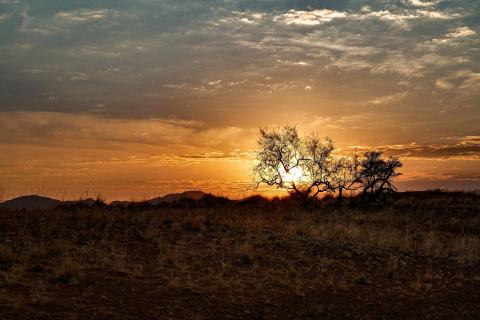 Desert Sunset