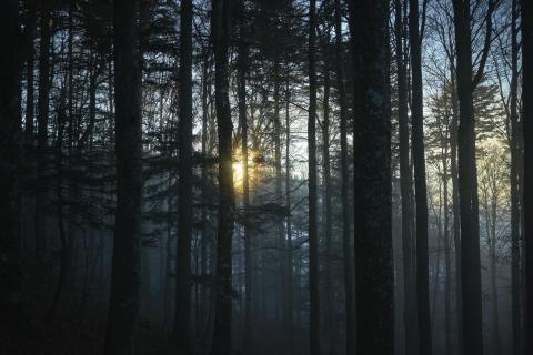 Raum(Ge)schichten_02