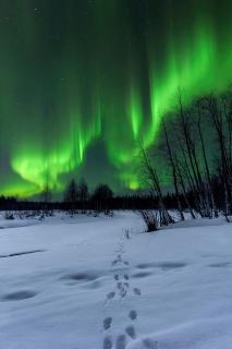 Aurora Footprints