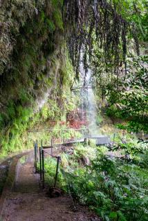 Wasserfall 