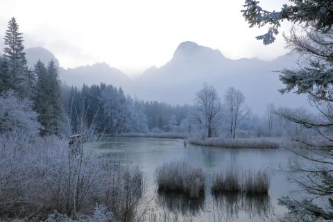 WengWinter