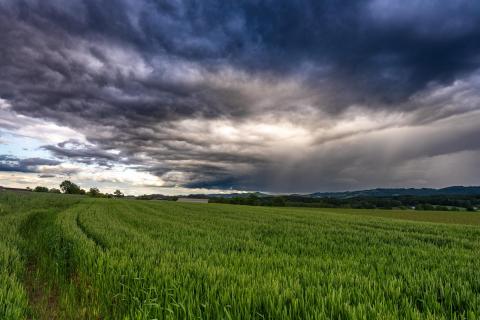Wetter