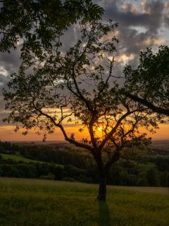Sonnenuntergang